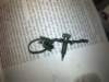 image3786_small.jpg