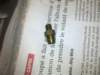 image3789_small.jpg