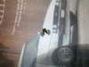 image3794_small.jpg