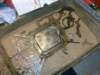 image3964_small.jpg