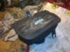 image3979_small.jpg