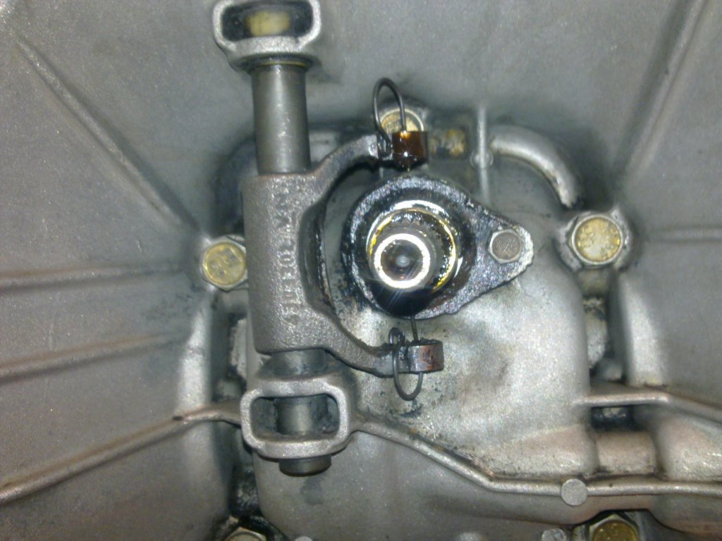 image4025.jpg