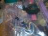 image4319_small.jpg
