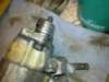 image4329_small.jpg