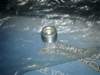 image4523_small.jpg