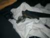 image4606_small.jpg