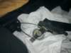 image4607_small.jpg