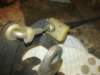image4780_small.jpg