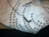 image4789_small.jpg