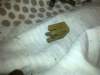image4792_small.jpg