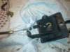 image4796_small.jpg