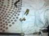image4798_small.jpg