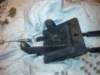 image4799_small.jpg