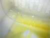 image6203_small.jpg