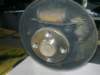 image6764_small.jpg