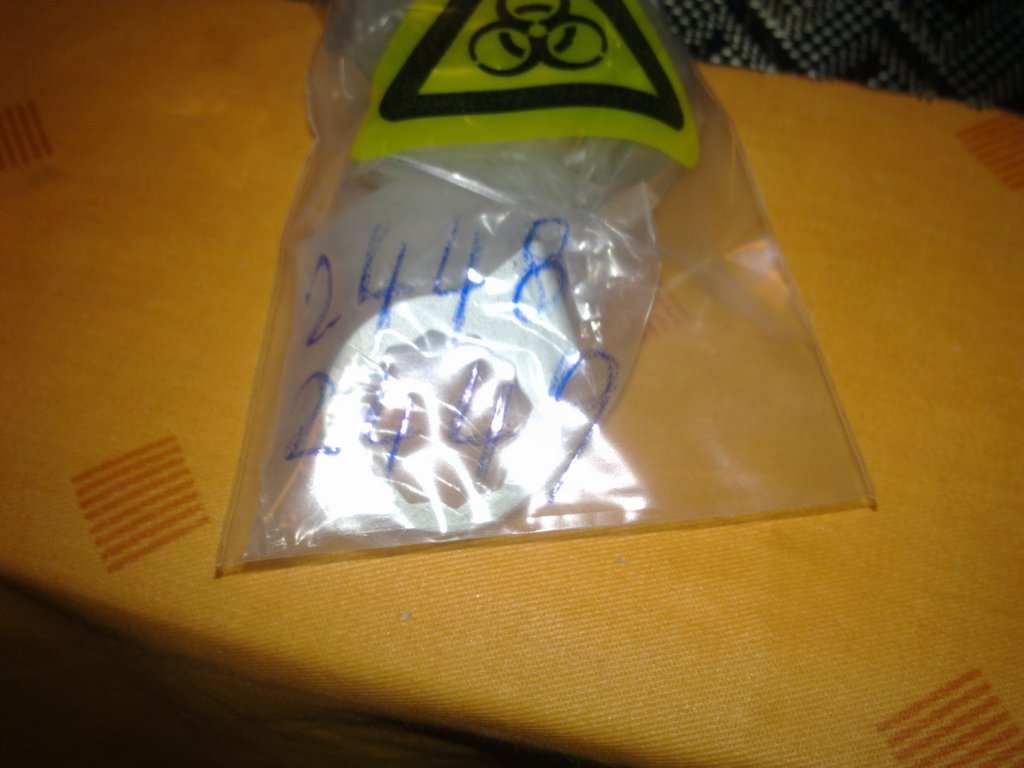 photo26.jpg