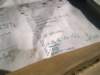 image6958_small.jpg