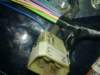 image6985_small.jpg