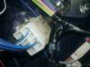 image6995_small.jpg