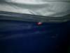 image7338_small.jpg
