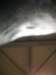 image7675_small.jpg