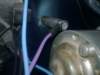 image7866_small.jpg