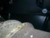 image7946_small.jpg