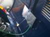 image7994_small.jpg
