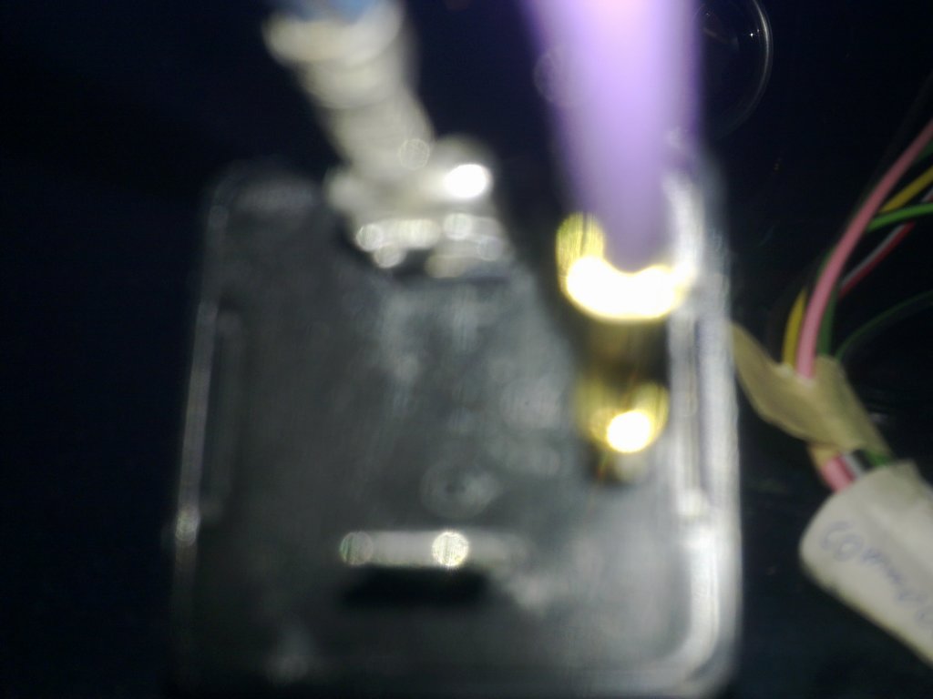 photo13.jpg