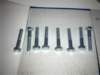 photo254_small.jpg