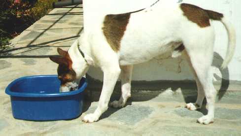 [Let's drink some water.]