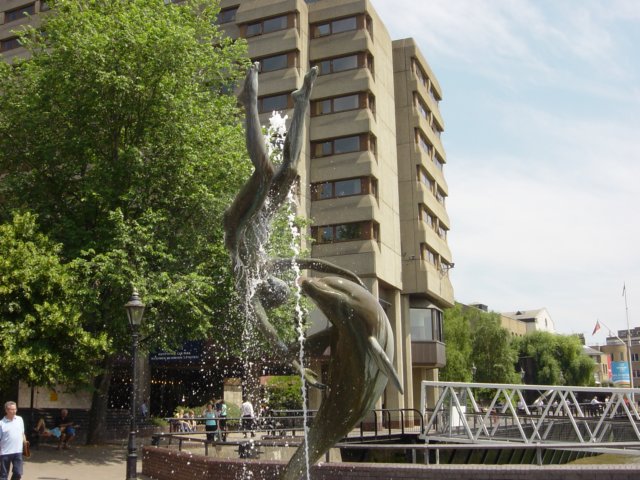 Photograph
