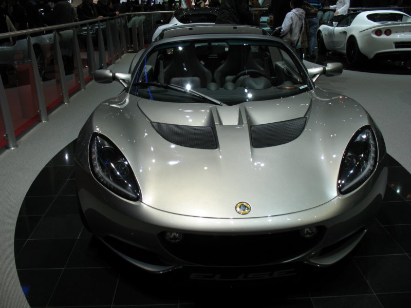 lotuselise.jpg