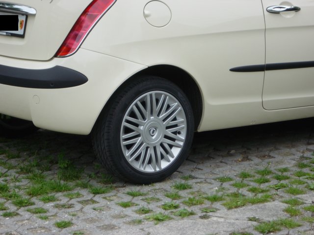 Photograph