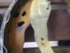image5837_small.jpg