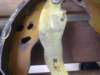 image5838_small.jpg