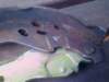 image5900_small.jpg