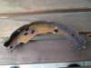image5915_small.jpg